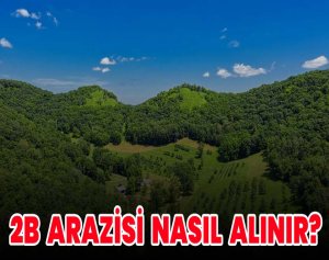 2B Arazisi Nasıl Alınır?