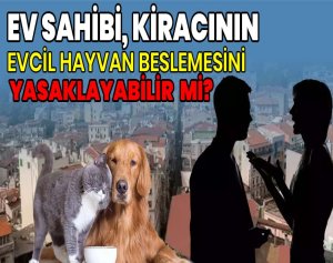 Ev Sahibi, Kiracının Evcil Hayvan Beslemesini Yasaklayabilir mi?