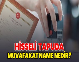 Hisseli Tapuda Muvafakatname Nedir?