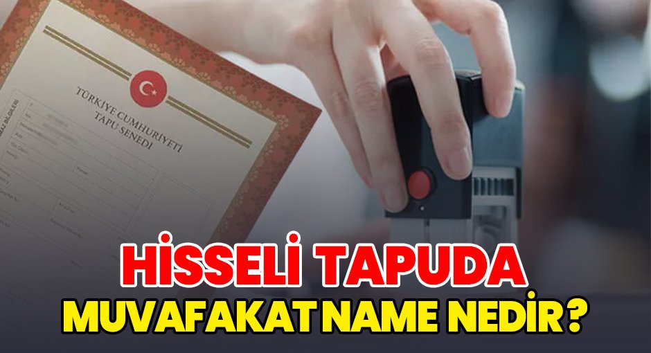 Hisseli Tapuda Muvafakatname Nedir?