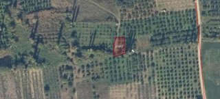 GEYVE ÇENGEL KÖYÜNDE SATILIK AYVA BAHÇESİ