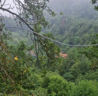 GEYVE KAMIŞLIDA SATILIK FINDIK BAHÇESİ