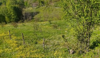 GEYVE KAMIŞLIDA SATILIK ARSA