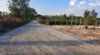 Fidan ve Süs Bitkisi Üretimine Uygun Tarla