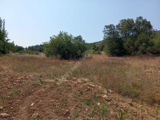 KARACAÖREN'DE SATILIK TARLA