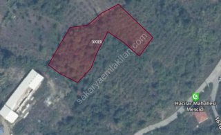 GEYVE AKINCI KÖYÜNDE 3488 m² RESMİ YOLA CEPHELİ, VERİMLİ FINDIK BAHÇESİ