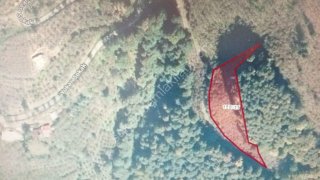 HARİKA DOĞA MANZARALI 2346 m2 SATILIK FINDIKLIK