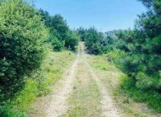 GEYVE AKINCI DEREKÖY’DE 1114 m² YOLA CEPHELİ HOBİ BAHÇELİK FIRSAT ARAZİ