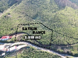 AKYAZI / M.YENİKÖY'DE SATILIK BAHÇE 2.518 m2