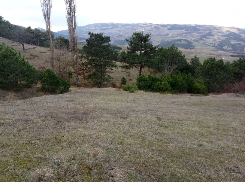 GEYVE AKDOĞAN KÖYÜNDE YATIRIMLIK 4842 m2 HESAPLI MANZARALI ARAZİ