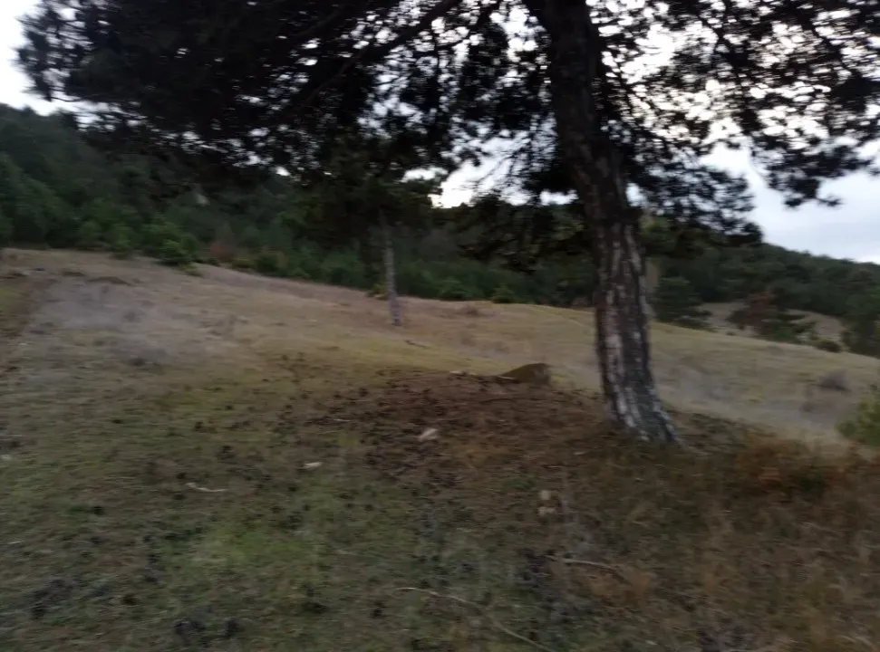 GEYVE AKDOĞAN KÖYÜNDE YATIRIMLIK 4842 m2 HESAPLI MANZARALI ARAZİ