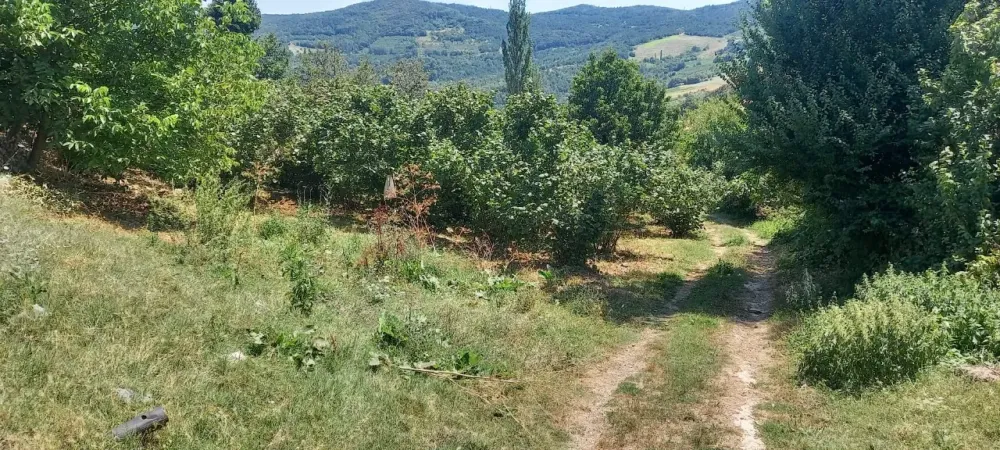 AVCI EMLAK'TAN GEYVE AKINCI HOCALAR KÖYÜNDE % 40 KONUT İMARLI 833 m2 MANZARALI ARSA