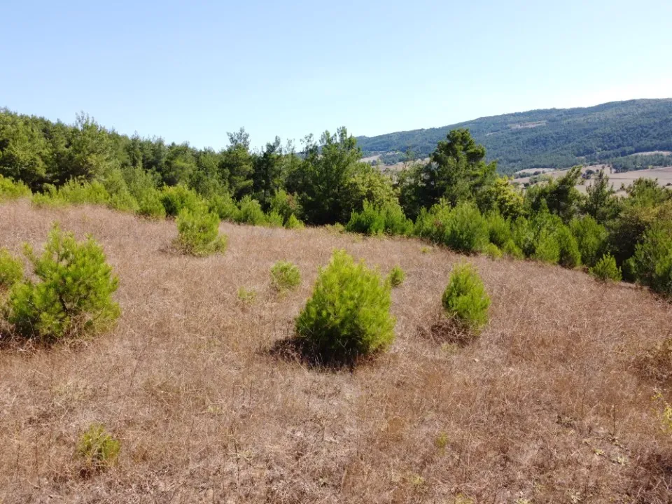 AVCI EMLAK’TAN GEYVE ÇAMLIK KÖYÜNDE YATIRIMLIK 2090 m2 MANZARALI ARAZİ