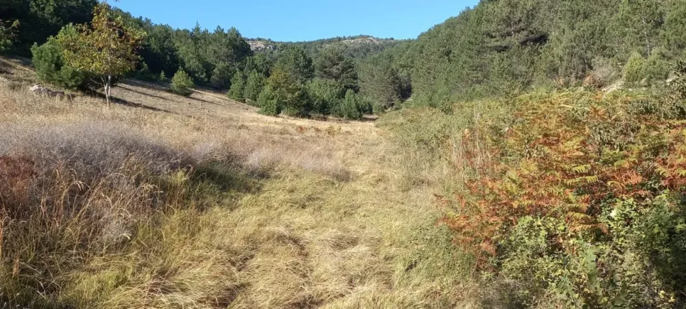 AVCI EMLAKTAN GEYVE HİSARLIKTA 1350 m2 HESAPLI YATIRIMLIK ARAZİ