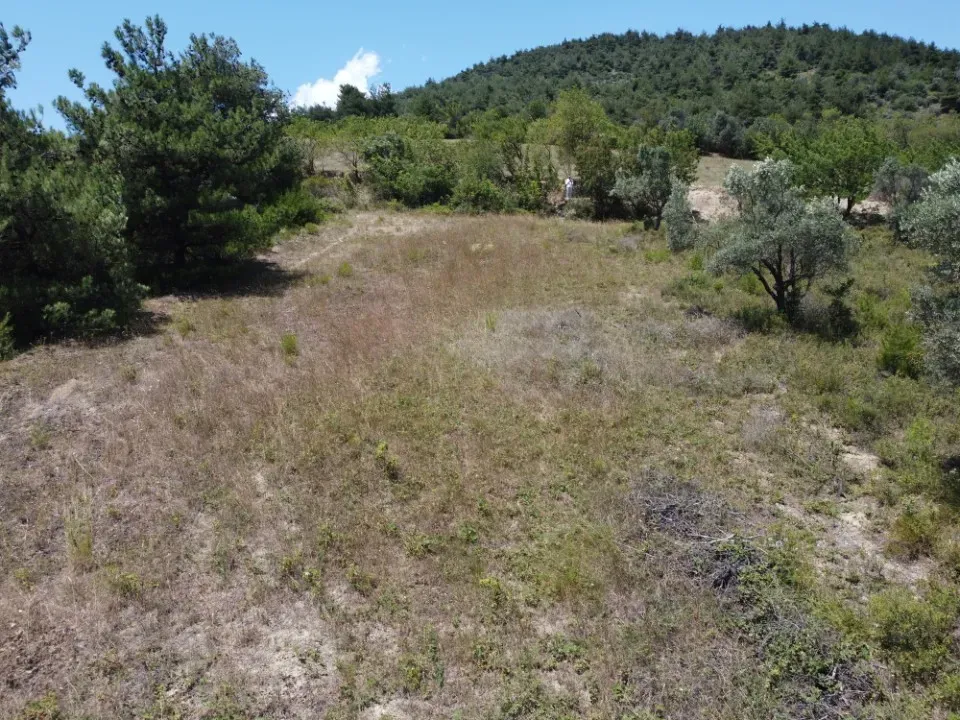 AVCI EMLAK'TAN PAMUKOVA İLÇESİ TEŞVİKİYE KÖYÜNDE MANZARALI YATIRIMLIK 724 m² YOLA CEPHE TİNY HOUSE İÇİN İDEAL