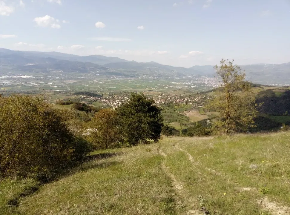 AVCI EMLAK'TAN GEYVE CECELER KÖYÜNDE 6100 m2 MANZARALI, YOL - SU - ELEKTRİK BUNGALOW PROJELİK