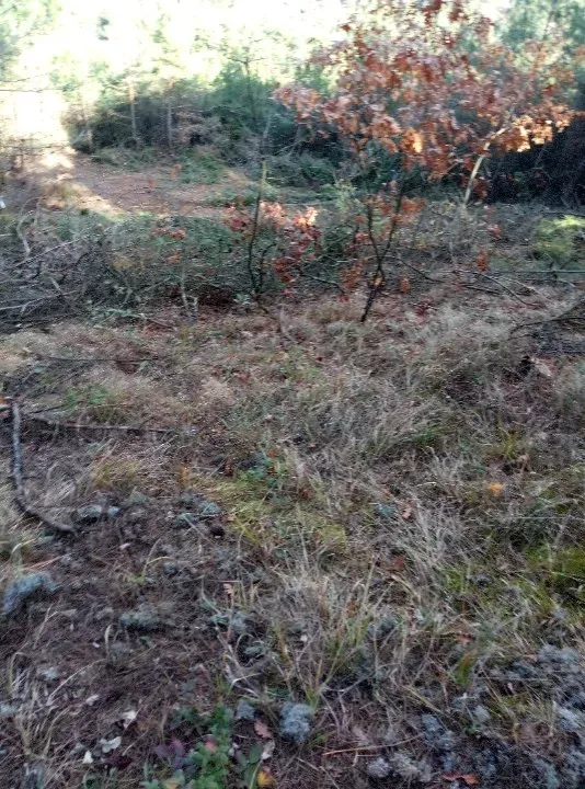 AVCI EMLAK'TAN GEYVE İLÇESİ AHİBABA KÖYÜNDE 740 m2 YATIRIMLIK, MANZARALI, ANA YOLA YAKIN ARAZİ