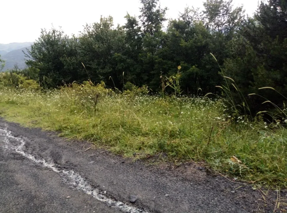 MELEKŞESOLAK KÖYÜ'NDE HESAPLI, MANZARALI, RESMİ YOLA CEPHELİ, 487 m2 ARAZİ - TİNY HOUSE - KONTEYNER