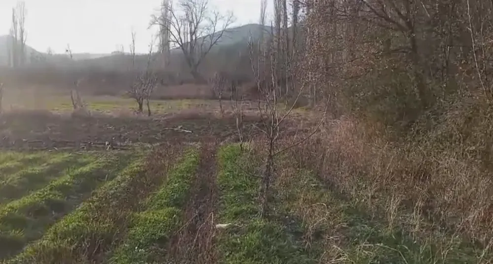 GEYVE KARACAÖREN'DE  SATILIK TARLA