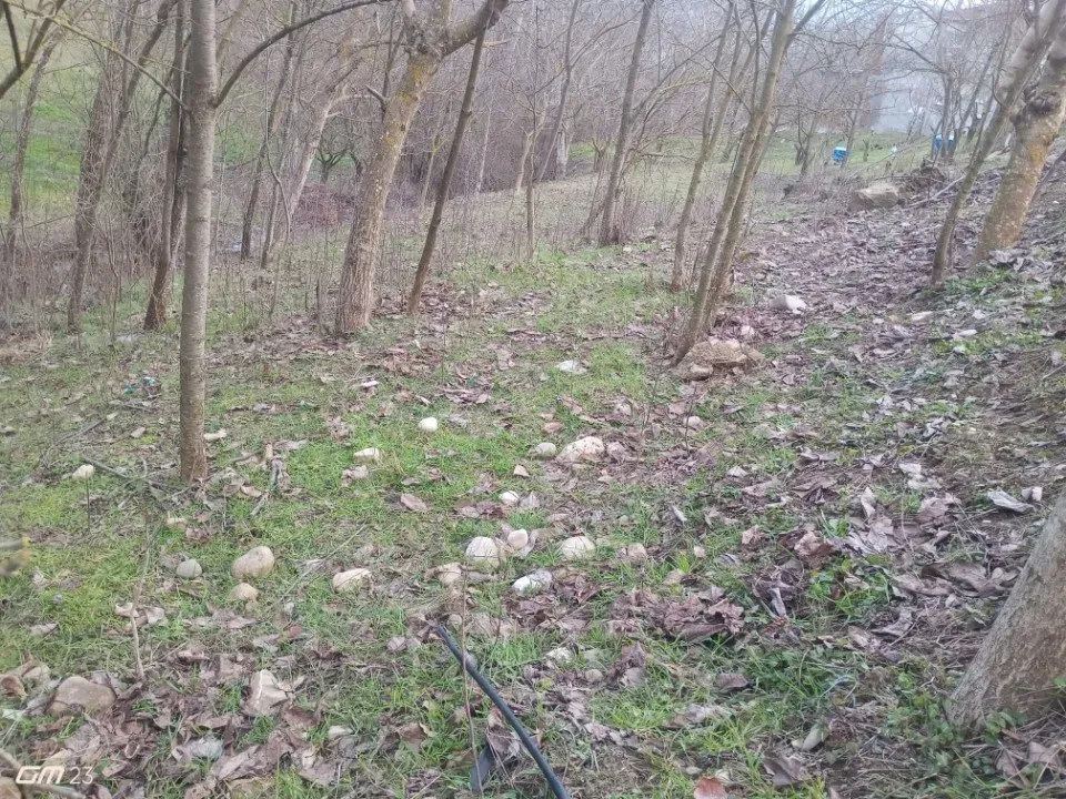 GEYVE GÜNHOŞLARDA SATILIK İMARLI ARSA