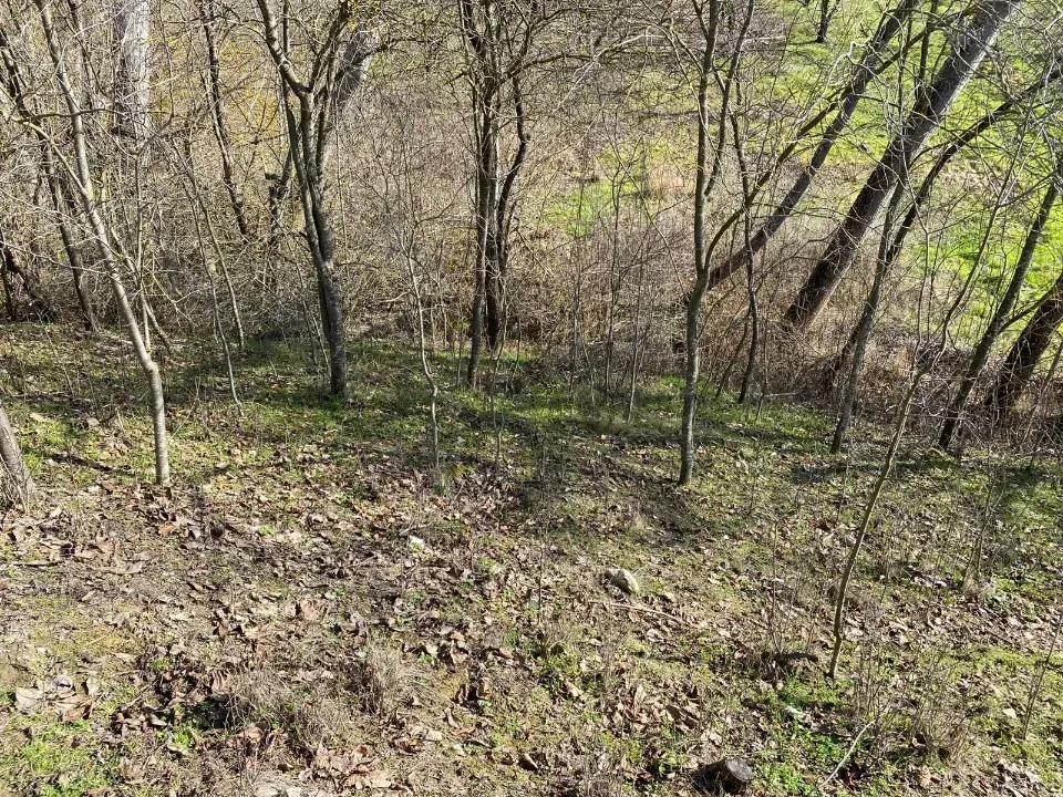 GEYVE GÜNHOŞLARDA SATILIK İMARLI ARSA