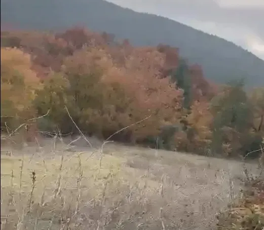 GEYVE KARACAÖREN'DE SATILIK TARLA