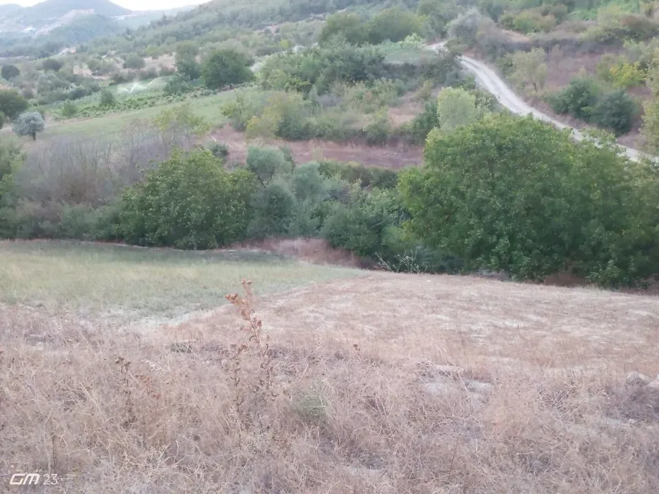 GEYVE HALDİYE'DE  SATILIK TARLA