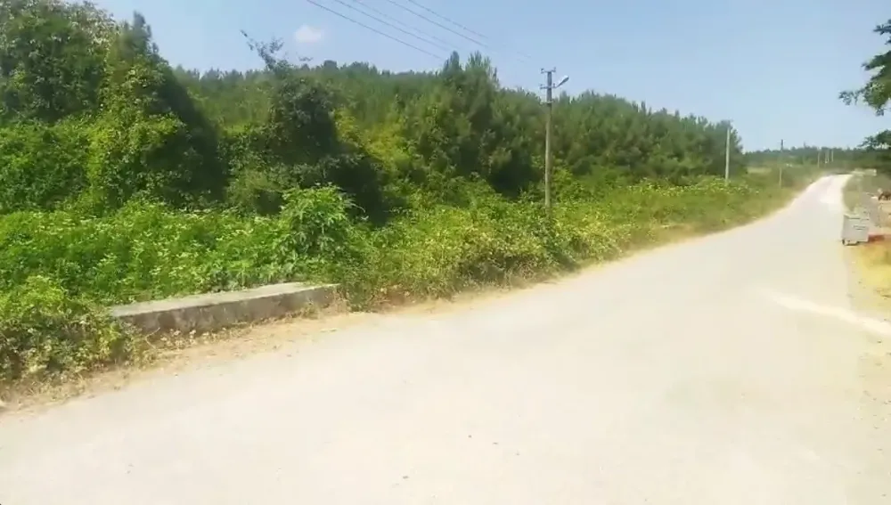 Satılık Mesire Alanı