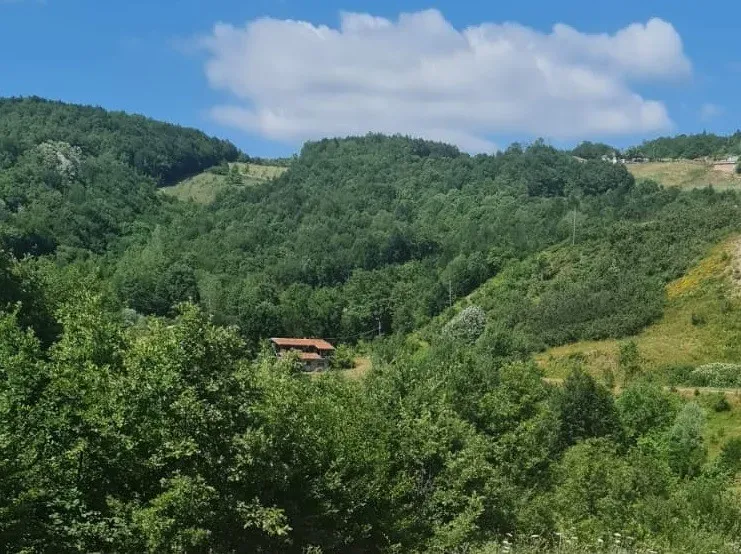 GEYVE KAMIŞLIDA SATILIK ARSA