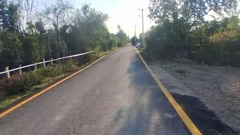 Fidan ve Süs Bitkisi Üretimine Uygun Tarla