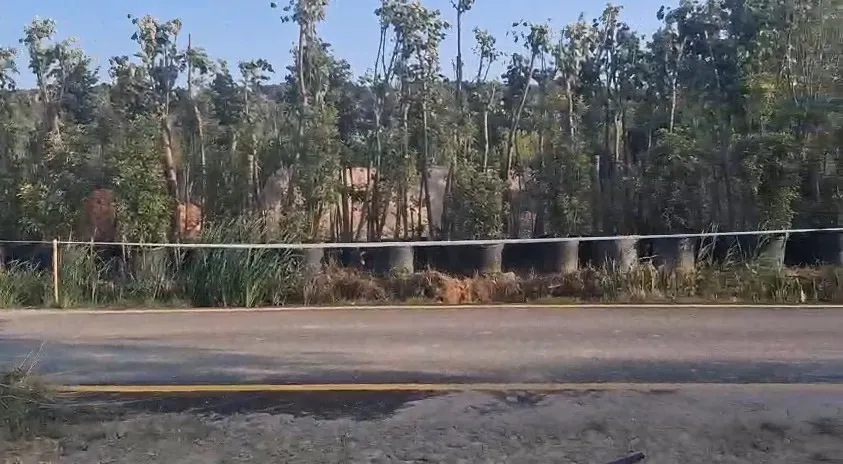 Fidan ve Süs Bitkisi Üretimine Uygun Tarla