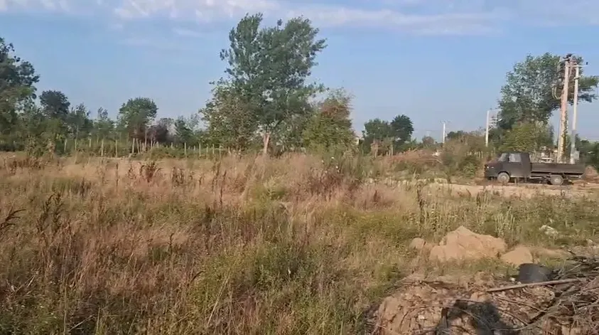 Fidan ve Süs Bitkisi Üretimine Uygun Tarla