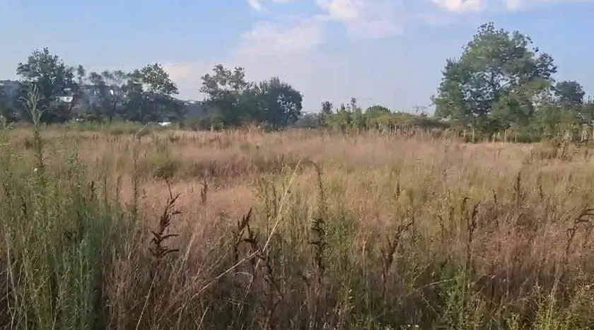 Fidan ve Süs Bitkisi Üretimine Uygun Tarla