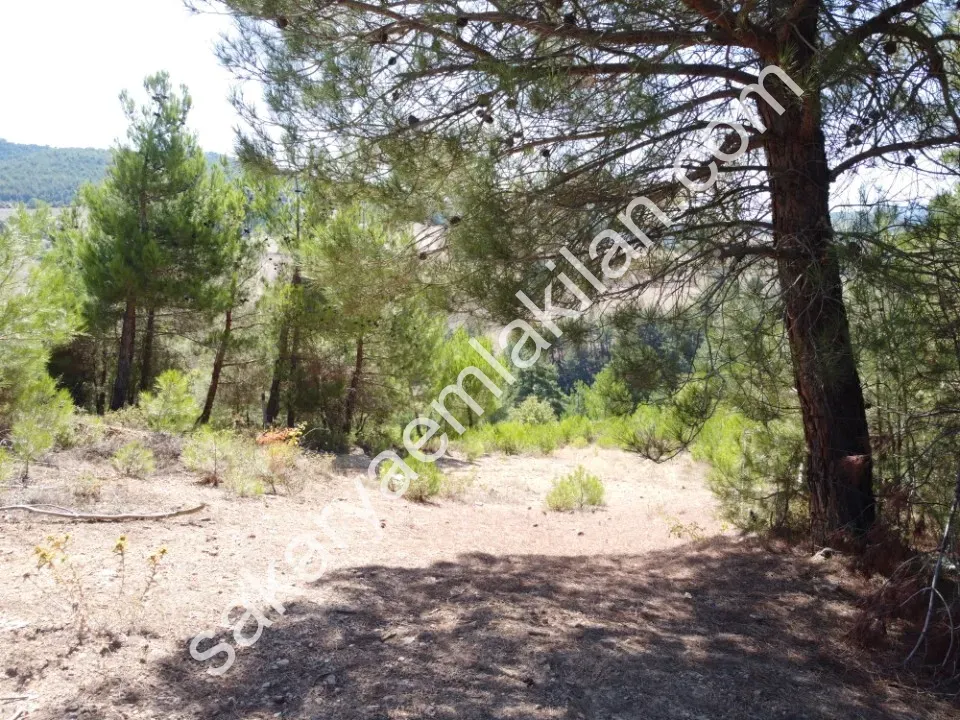 ÇAMLIK 2090 m² PANORAMİK MANZARALI DOĞA İLE İÇ İÇE HOBİ BAHÇELİK