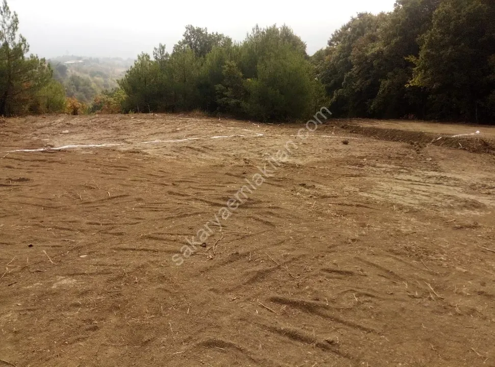 GEYVE KÖPRÜBAŞI HEMEN İNŞAATA BAŞLA - 1041 m² KONUT İMARLI CAZİP FİYATLI ARSA