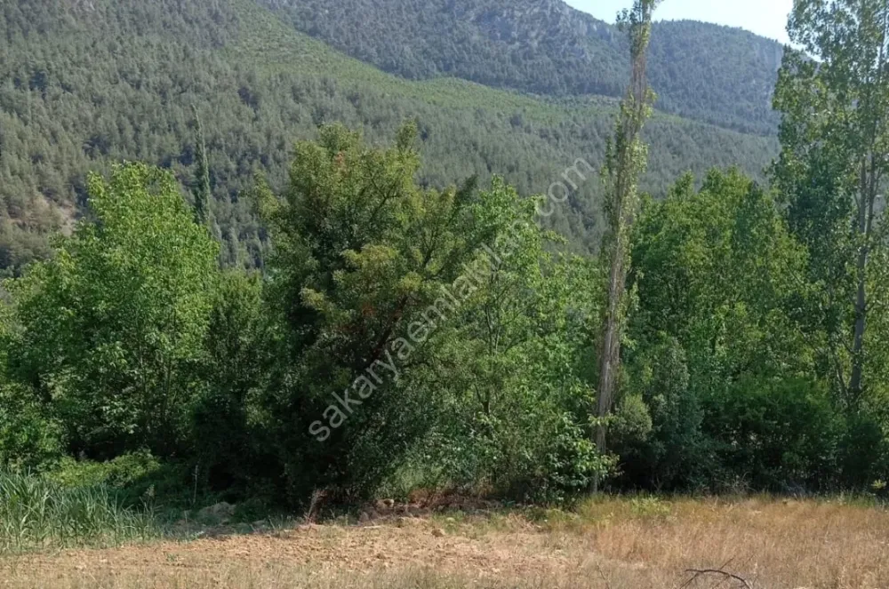 KARACAÖREN'DE SATILIK TARLA