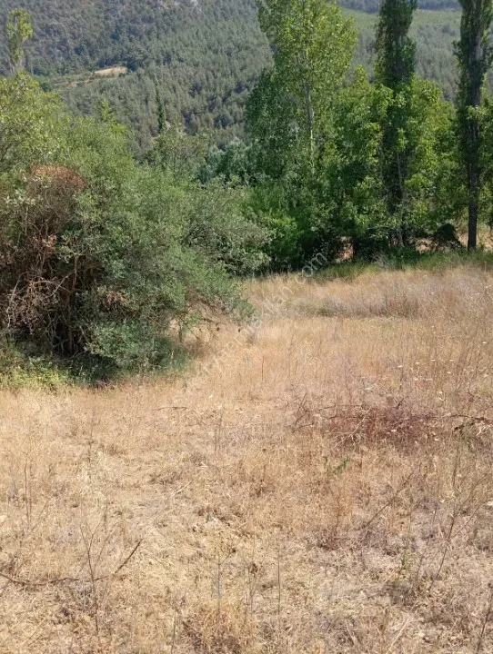 KARACAÖREN'DE SATILIK TARLA