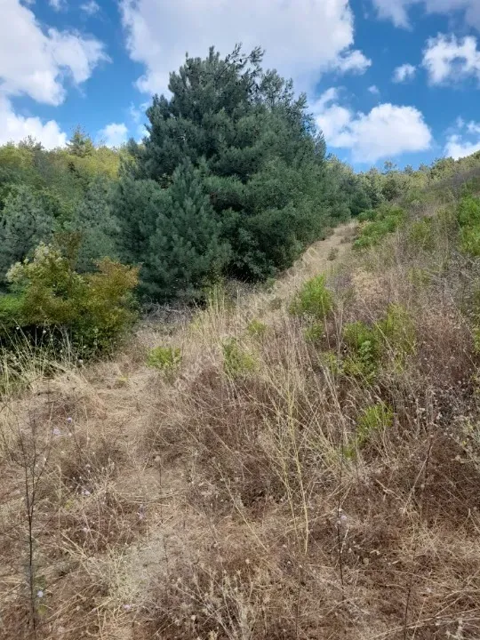 AHİBABA'DA TARIMSAL İMARA UYGUN 6883 m² YATIRIMLIK ARAZİ