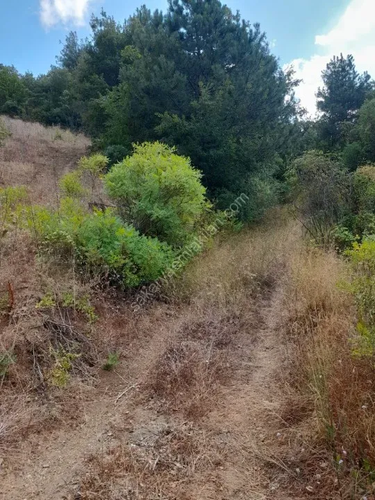 AHİBABA'DA TARIMSAL İMARA UYGUN 6883 m² YATIRIMLIK ARAZİ