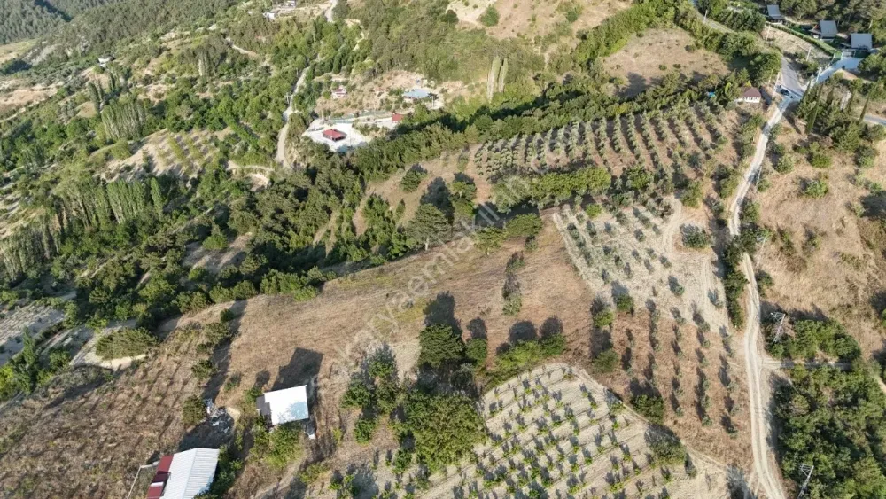 CECELER KÖYÜNDE FUL MANZARALI 6372 m² YATIRIM DEĞERİ YÜKSEK ARAZİ