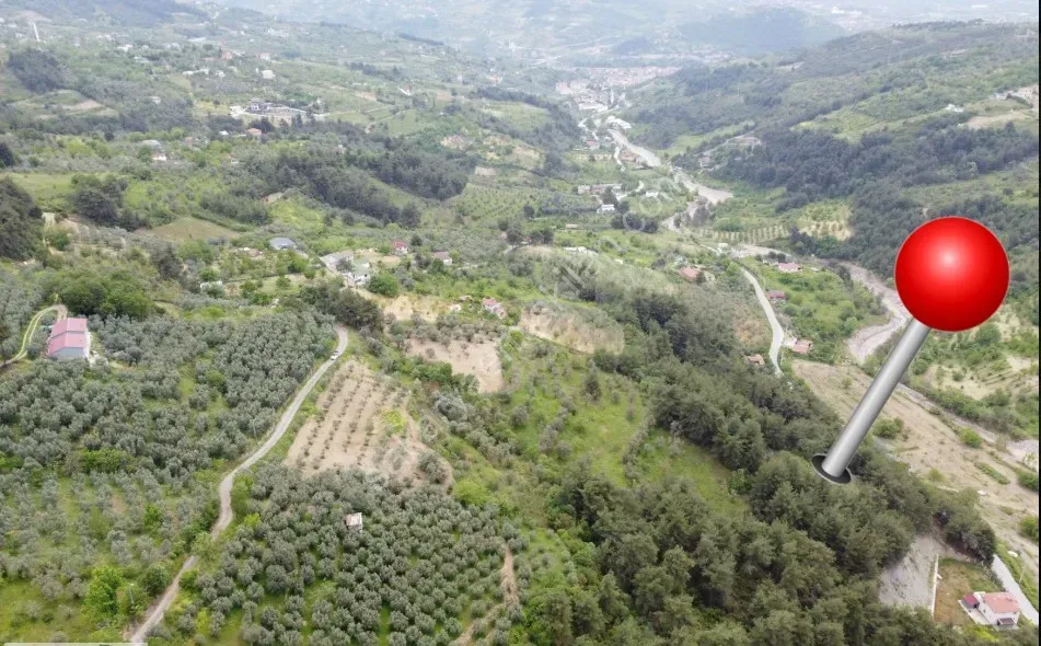 Geyve Alifuatpaşa Okul Mahallesi’nde 958 m², manzaralı, resmi asfalt yola 1 parsel mesafede BAHÇE