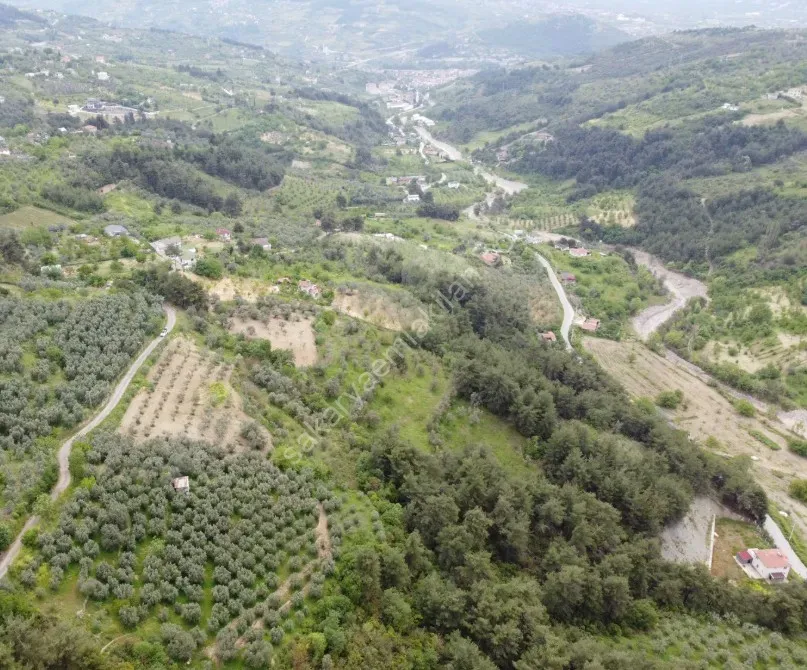 Geyve Alifuatpaşa Okul Mahallesi’nde 958 m², manzaralı, resmi asfalt yola 1 parsel mesafede BAHÇE
