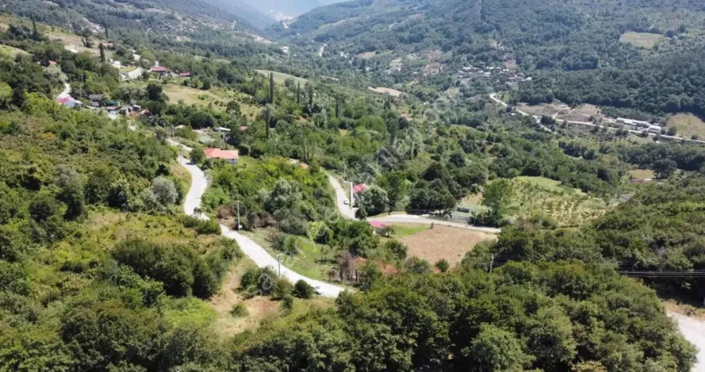 GEYVE AKINCI KÖYÜNDE 3488 m² RESMİ YOLA CEPHELİ, VERİMLİ FINDIK BAHÇESİ