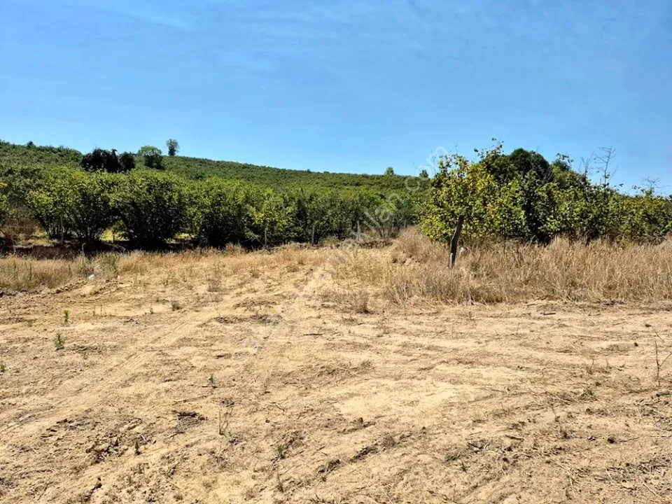 KARASU LİMANDERE MAHALLESİNDE SATILIK ARSA