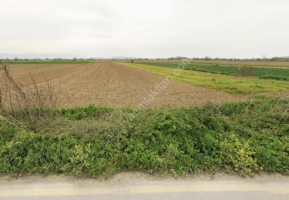 ADAPAZARI ÇÖKEKLER MAHALLESİNDE SATILIK TARLA