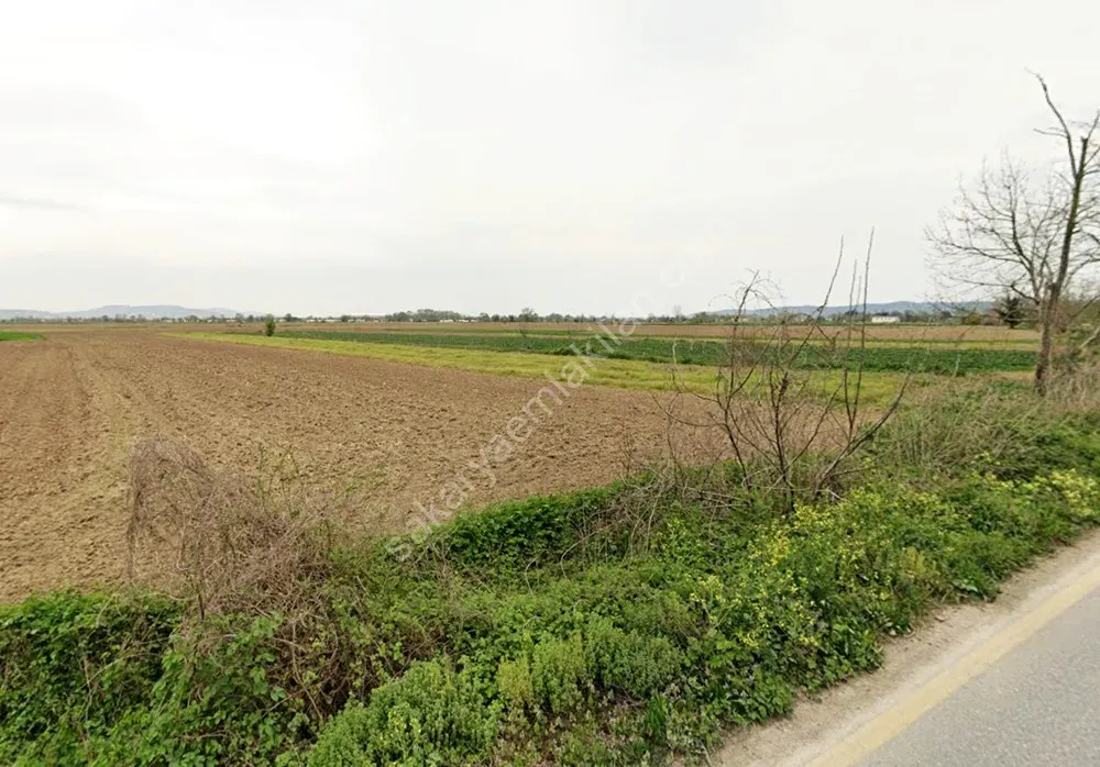 ADAPAZARI ÇÖKEKLER MAHALLESİNDE SATILIK TARLA