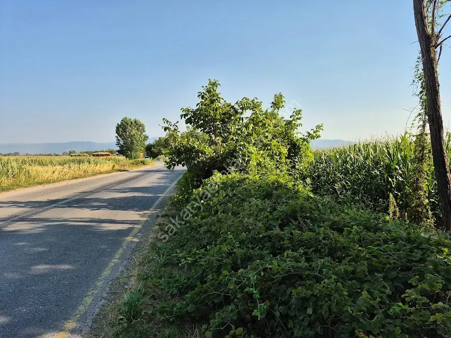ADAPAZARI ÇÖKEKLER MAHALLESİNDE SATILIK TARLA