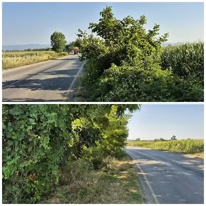 ADAPAZARI ÇÖKEKLER MAHALLESİNDE SATILIK TARLA