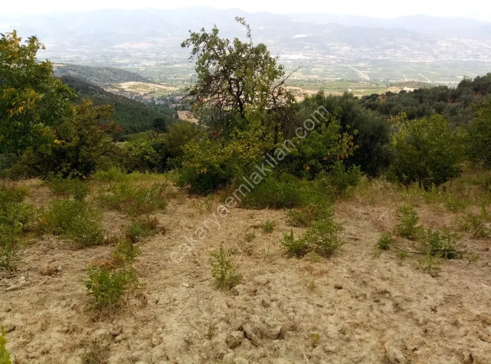 GEYVE CECELER KÖYÜNDE 2122 m² FUL MANZARALI, KONTEYNER VE TİNY HOUSE İÇİN İDEAL ARAZİ