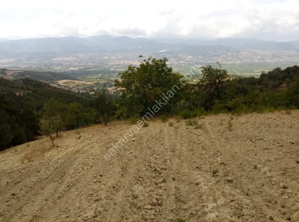 GEYVE CECELER KÖYÜNDE 2122 m² FUL MANZARALI, KONTEYNER VE TİNY HOUSE İÇİN İDEAL ARAZİ